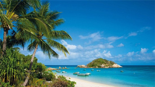 上野樱花日式料理