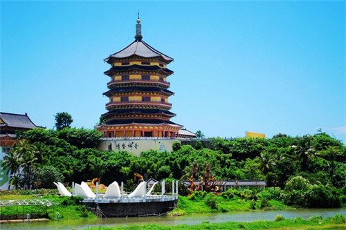 龙凤水饺