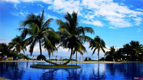 柚谷谷烘焙、蛋糕