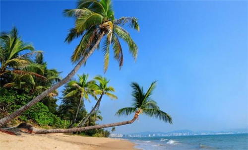 加盟笼门包局包子开店什么地段比较好