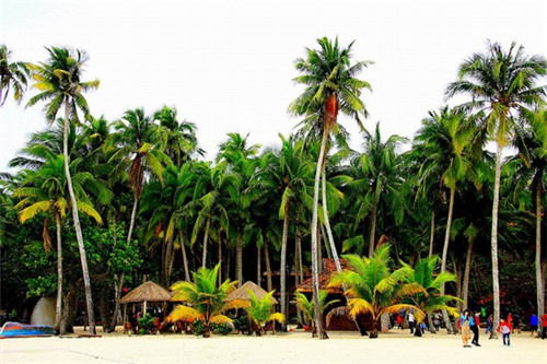 火锅店门店的活动策划，火锅店活动策划书