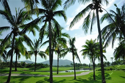 东巷印茶的利润怎么样，加盟东巷印茶如何提高店铺利润