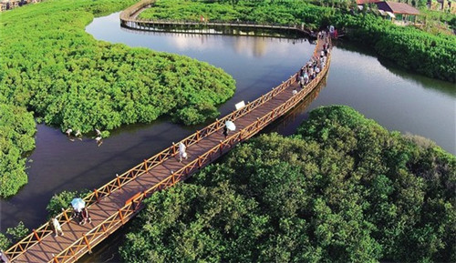 什么材料装修好就能入住（什么材料装修好就能入住家里）